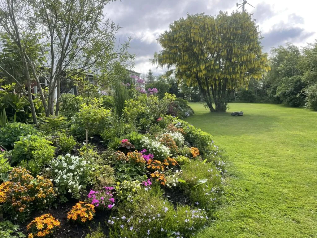 Langt staudebed med blomster i alle farver langs den klippede plæne.